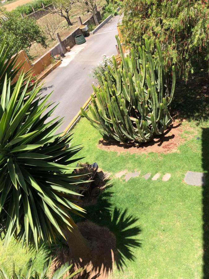 Apartamento En La Laguna La Laguna  Extérieur photo